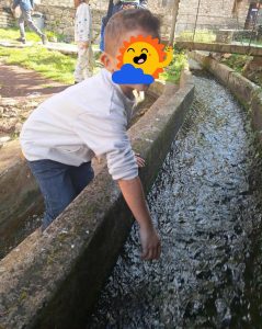 f7074229 db58 40c5 8011 951b15c59f3c