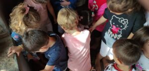 IMG 20231004 1100272