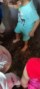 IMG 20231004 110113