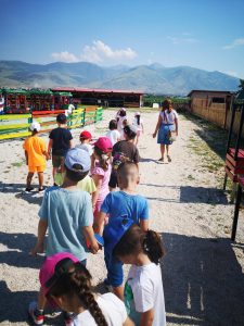 IMG 13ac4f4d75ec50872637cd2a5f6bc2f2 V