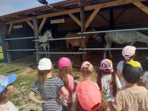 IMG a63fe3491af496cb8ef5cc536c1b34da V