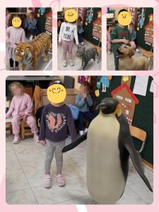 IMG 860c320ce39a60c4d8401d855aeb574e V