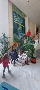 IMG 52716f28234a72d4b42b3988a862eb80 V