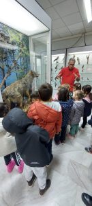 IMG 7c4f60aff900d0e832db1a071bb2a1cb V