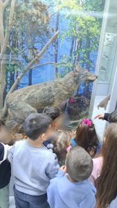 IMG 90e70f5f908f99ca2b5b6412d223a7e1 V