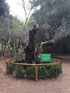 Image3