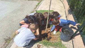 IMG 684dc3e77aa9ddeafead30ad61fd49c3 V