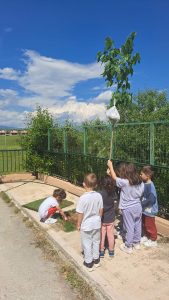 IMG adb0529189cf6843ccb010132cf769f1 V