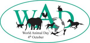 World Animal Day top