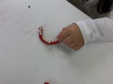 DSCF0210