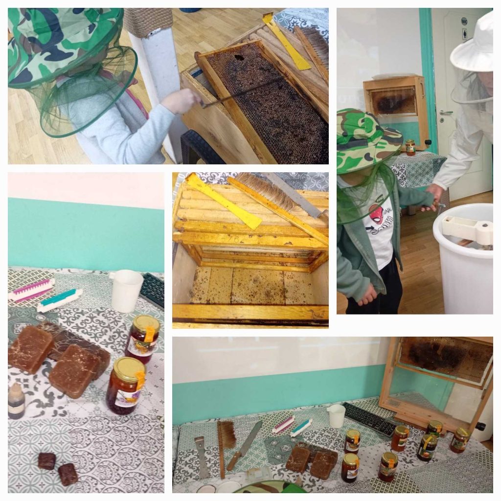 original DE6A412C 21D7 424C ABA7 2BE36EEBF7DB