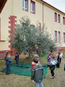 Υγεία Διατροφή 1