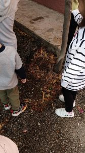 Messenger creation 68C788DF 5B53 4D2D 92E2 9920D59B6799