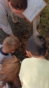 Messenger creation F39B9D19 E74C 4902 87F4 A64C5B6F6F53