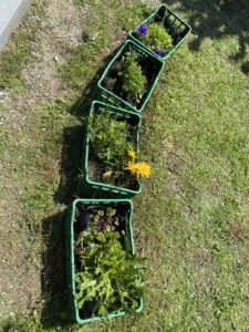 IMG 31ffe1ffdbc79f8f80988e34ef812e95 V