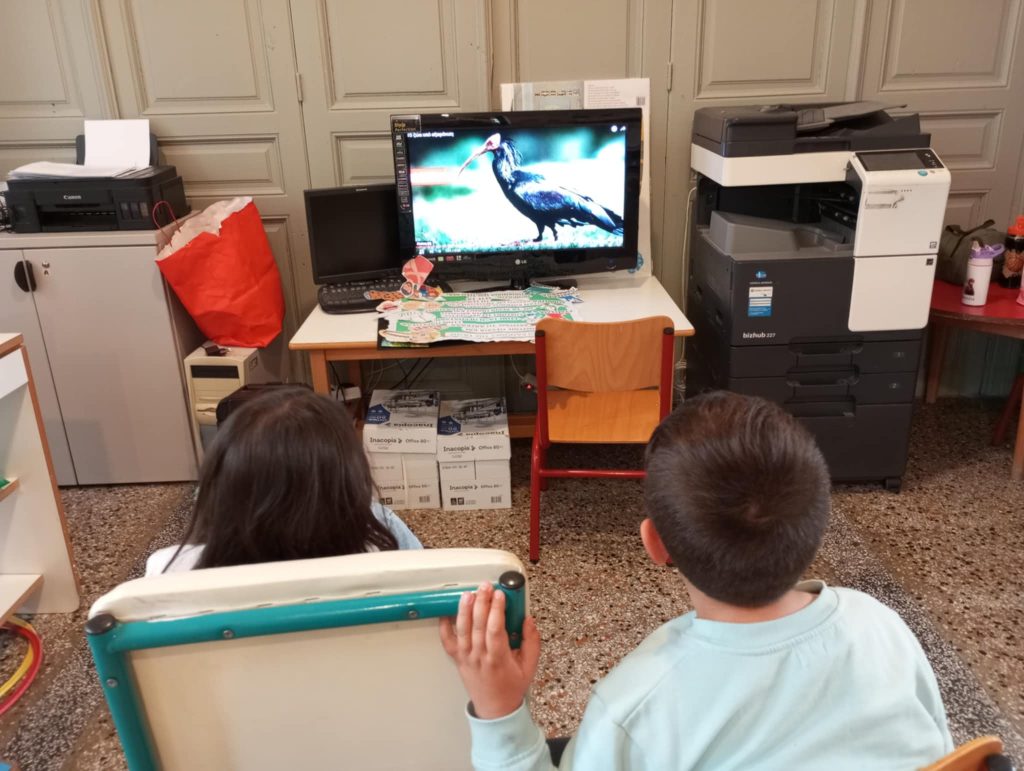 16585dc7 9855 41d8 80ea ee00ce2029a0