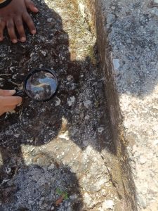 87e5277d 9a95 4350 8f13 db1afdc84805