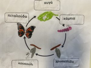 IMG 3541