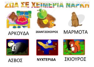 ΖΩΑ ΣΕ ΧΕΙΜΕΡΙΑ ΝΑΡΚΗ ΛΙΣΤΑ Σελίδα 1