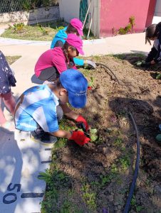 6a517a07 20e3 4823 b0fe 47aa19e07828