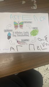 IMG 7887 1