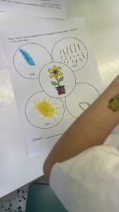 IMG 7989 1
