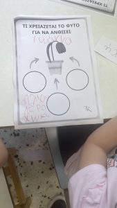 IMG 7999 1