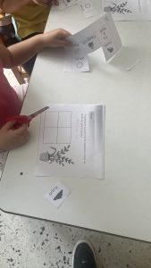 IMG 8009 1