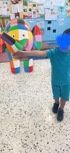 IMG 8648