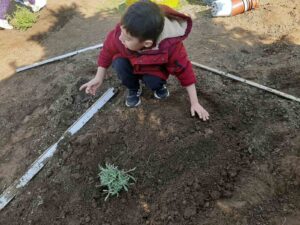 IMG 3a15c38d0c5163d8106ce96a7d8b0aab V