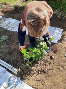 IMG 3cdd7408f10955dcb12c8aa614cc5f99 V