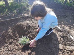 IMG a98cd825f781a4c060ca7cd33bb080f6 V