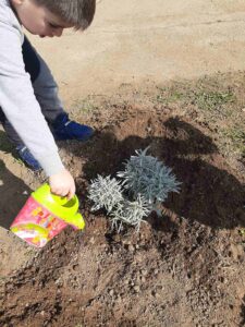 IMG c409205103fc33d9dc69d40a487dd4cc V