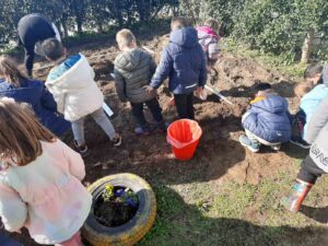 IMG cb6a520034c1a9c5c23c0610709e3c3b V