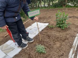 IMG f6640a33abae5a0f5483c17e37d80db3 V