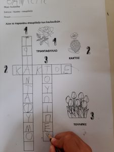 IMG a9c4b9c5cfc7772ff1115649d3e60424 V