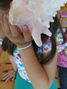 IMG b19f629e5d9b50b18f549ff53b3b597e V