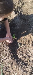 IMG 2d4347e2f19b89e6576b536113a49e8e V