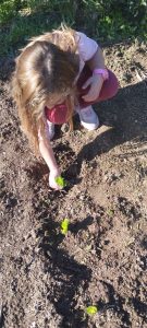 IMG 31013ccf46d459d1d5e81fb8b494767b V