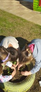 IMG 32f6c0e7b2e81a4c3119f57bf674ed5c V