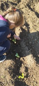 IMG 34bfb9f8d6f63fb324cbffbfc3b57270 V