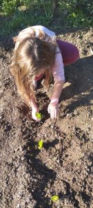 IMG 3f56e3cae038b7b639e2457497e4251f V