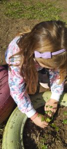 IMG 50e08ca60e63eb879dd4065c9937059f V