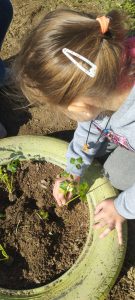 IMG 525639c649deb7ddae7b32b85bc4ba20 V