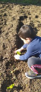 IMG 52e21a4883233efdfa427501b3fd58d7 V