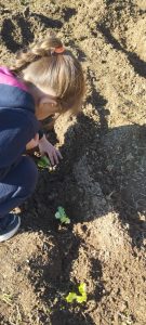 IMG 645d5d824ebdd3fbed1f99e8a723da6a V