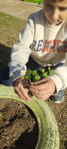 IMG 799b0ee4ad09e4d76c5b5d659916afa4 V