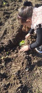 IMG 90ae7dbe984a73cb9e86f5497221b04e V