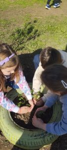 IMG a99d836ab01a2c54d43bcfca733b926a V