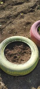 IMG b66a2d57546c7604b2adbd3db32a0493 V